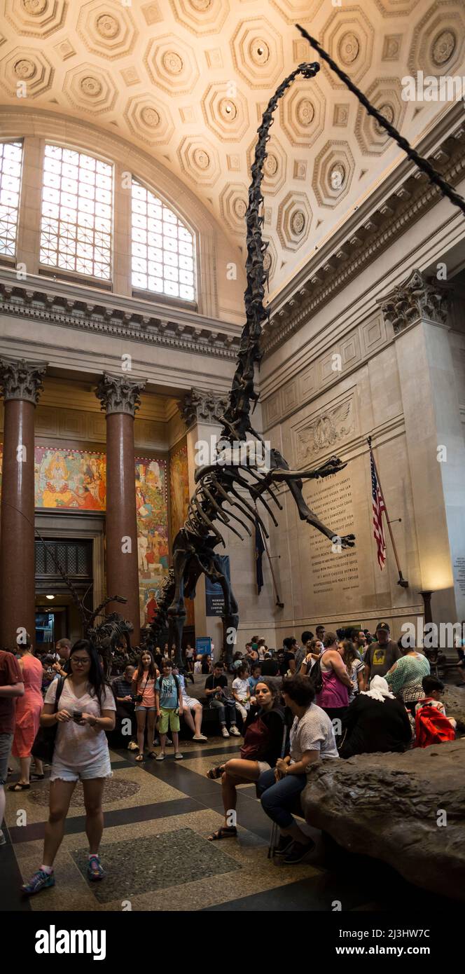 81 STREET - MUSEUM OF NATURAL HISTORY, New York City, NY, USA, location delle riprese per "Night at the Museum" Foto Stock