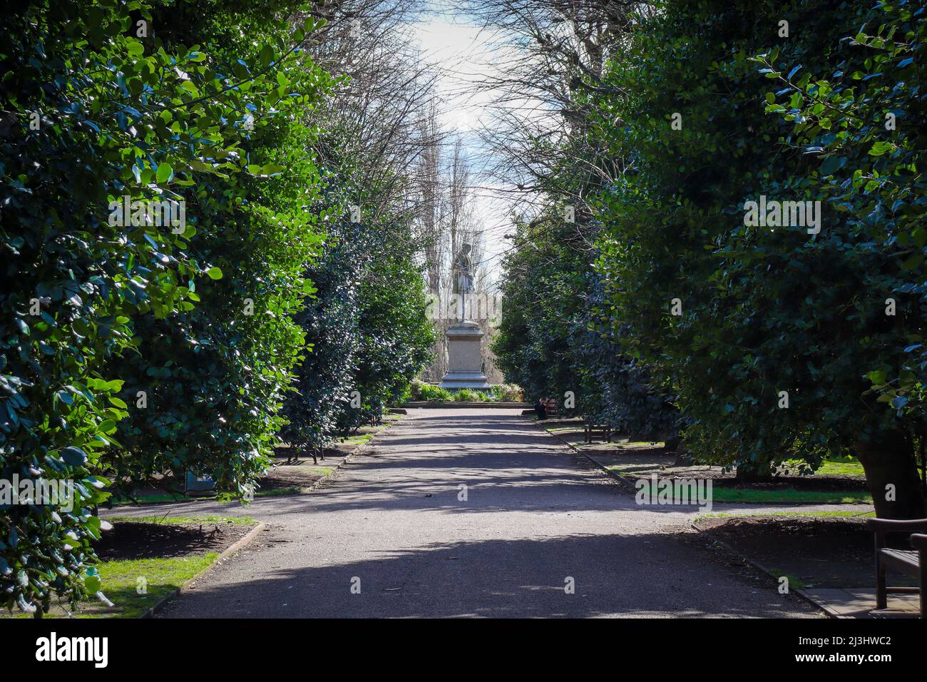 Viale alberato, cespugli sacri, nel Parco Grosvenor, Chester Foto Stock
