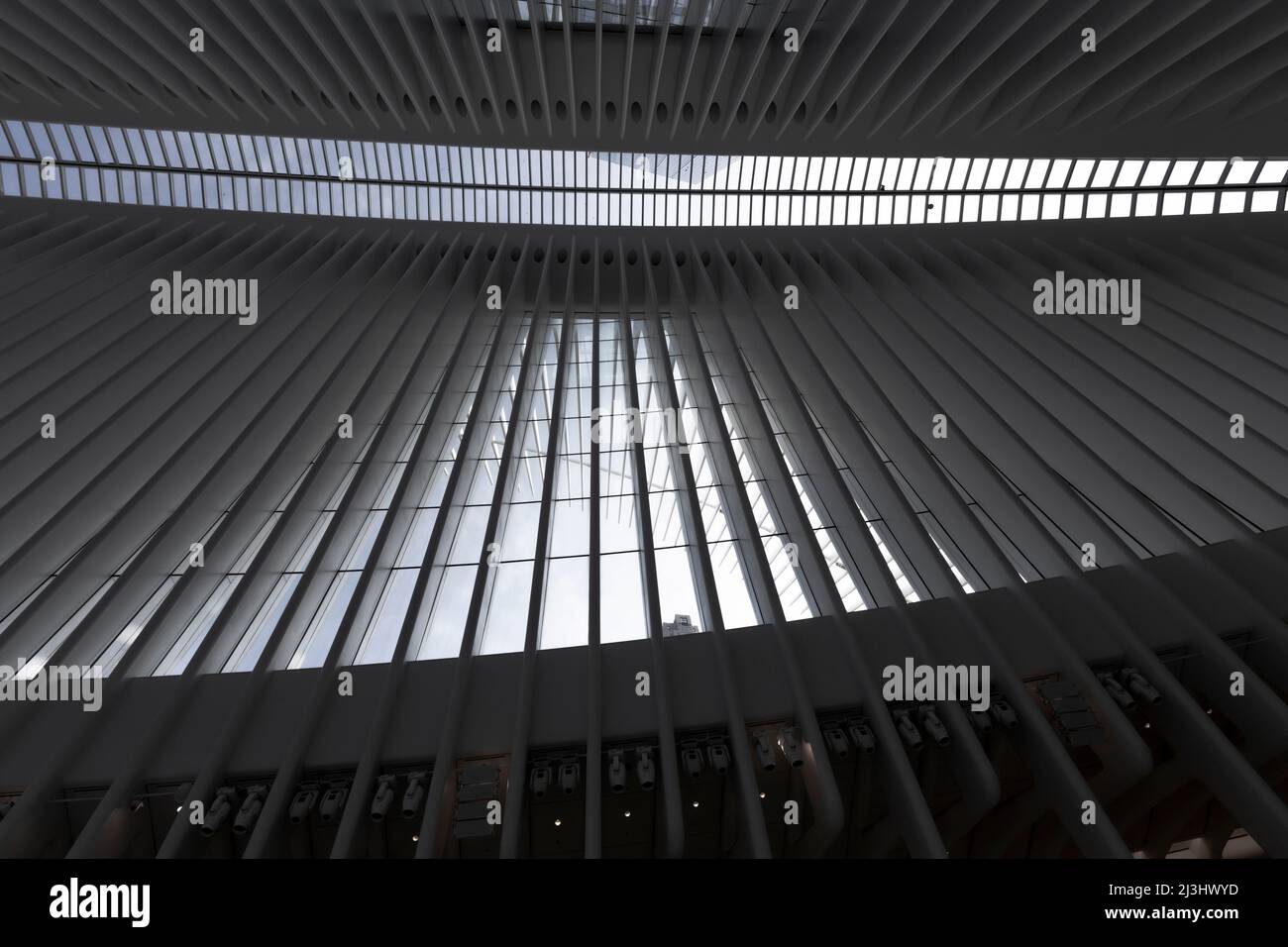 World Trade Center, New York City, NY, USA, World Trade Center Transportation Hub o Oculus progettato dall'architetto Santiago Calatrava nel quartiere finanziario Foto Stock