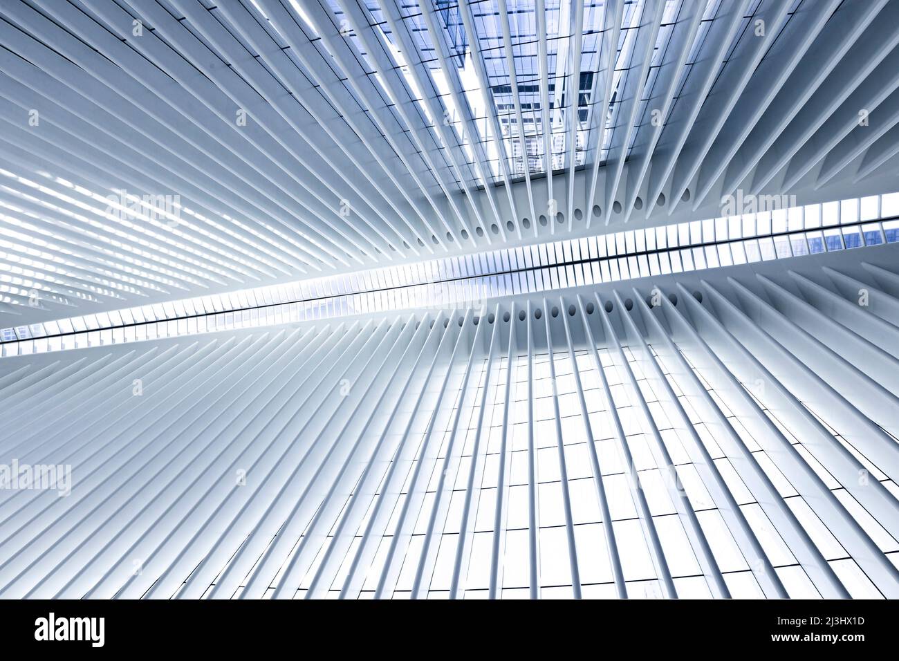WTC Cortlandt, New York City, NY, USA, World Trade Center Transportation Hub o Oculus progettato dall'architetto Santiago Calatrava nel Financial District Inside Foto Stock
