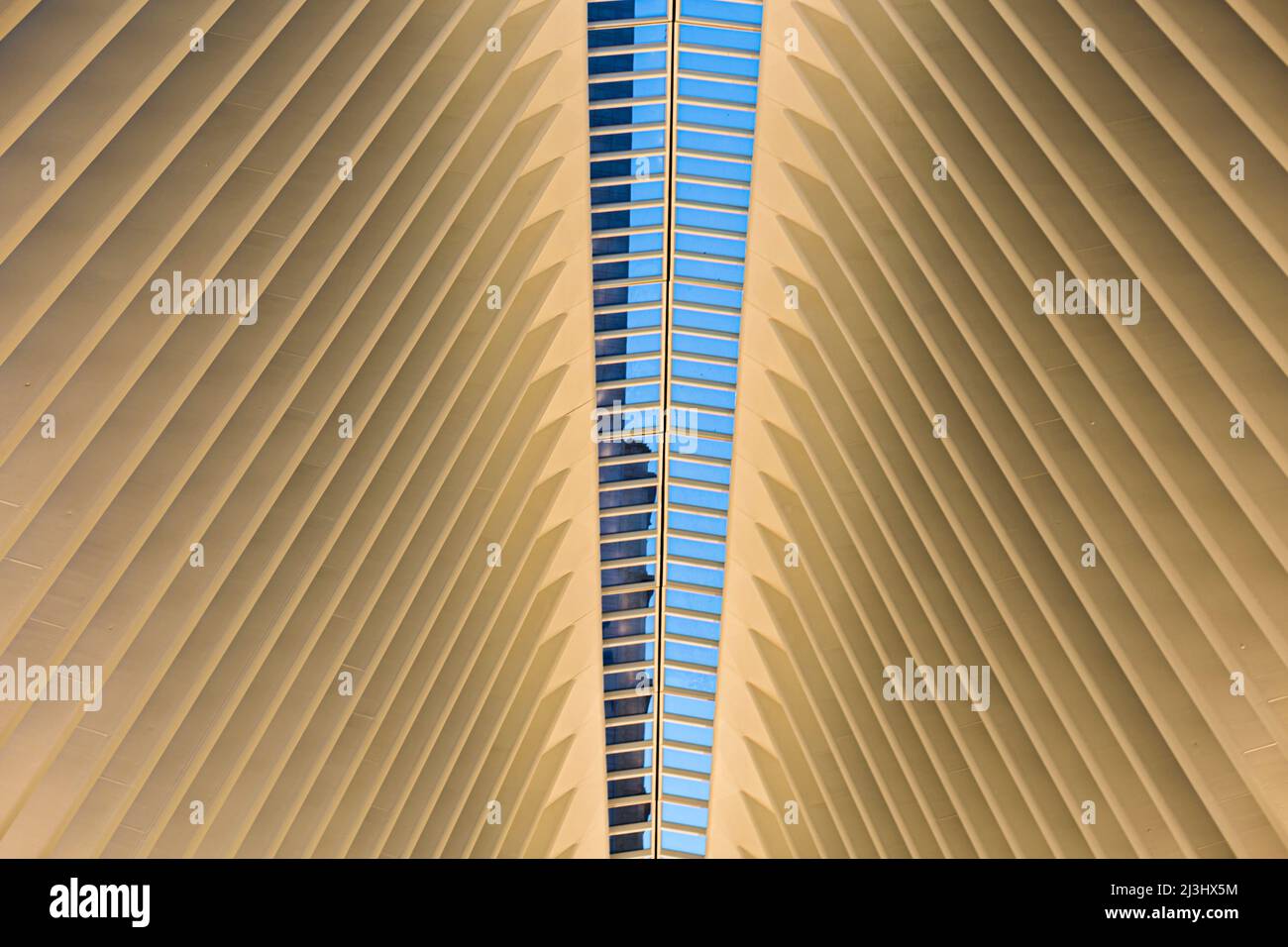 World Trade Center, New York City, NY, USA, World Trade Center Transportation Hub o Oculus progettato dall'architetto Santiago Calatrava nel quartiere finanziario Foto Stock