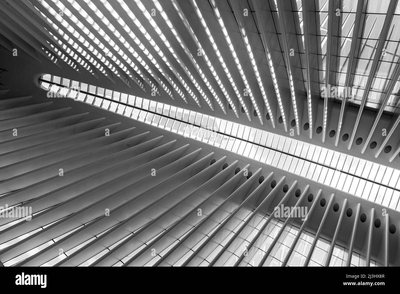 WTC CORTLANDT, New York City, NY, USA, World Trade Center Transportation Hub o Oculus progettato dall'architetto Santiago Calatrava nel Financial District Inside Foto Stock