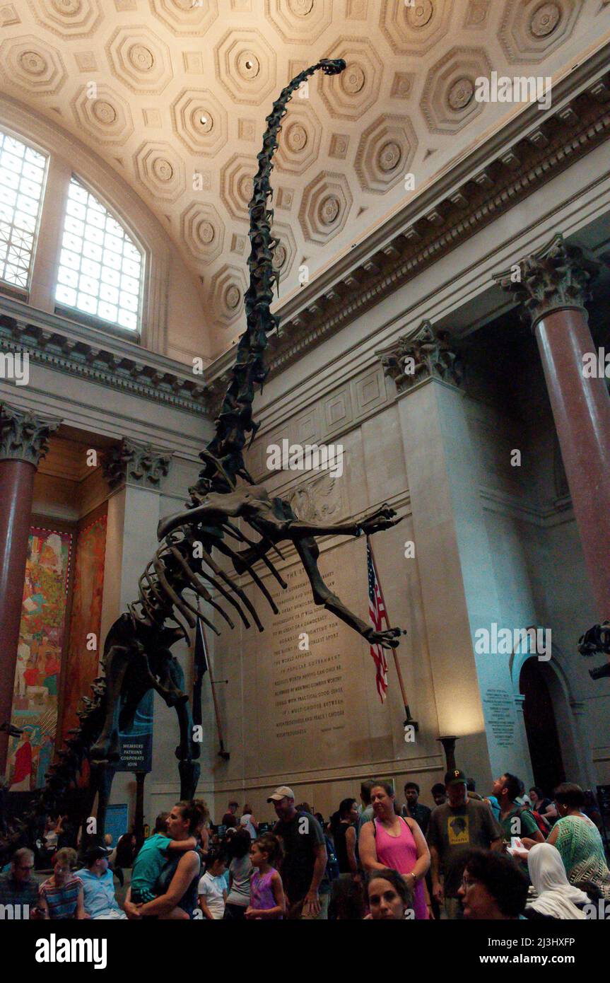 81 STREET - MUSEUM OF NATURAL HISTORY, New York City, NY, USA, location delle riprese per "Night at the Museum" Foto Stock