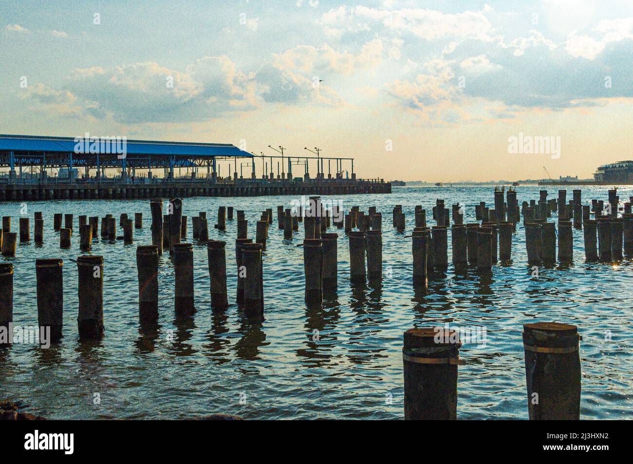 Brooklyn Heights, New York City, NY, USA, colonne di legno nel fiume Est visto dal vecchio Pier 1 al Brooklyn Bridge Park Foto Stock