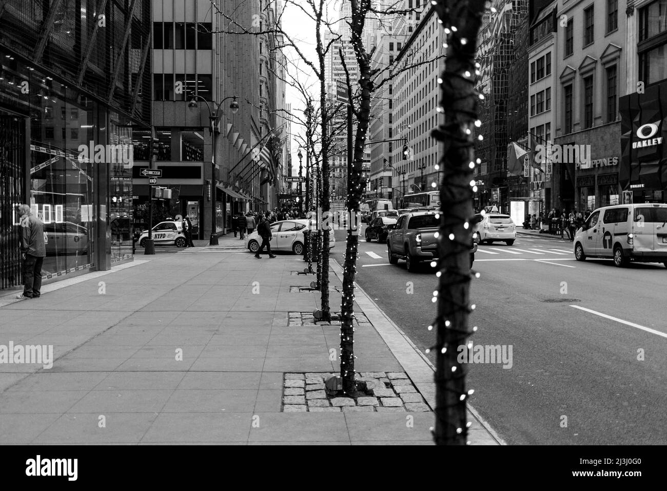 LITTLE BRAZIL, New York City, NY, USA, Christmas Lighting on the Trees at 5th Avenue Foto Stock