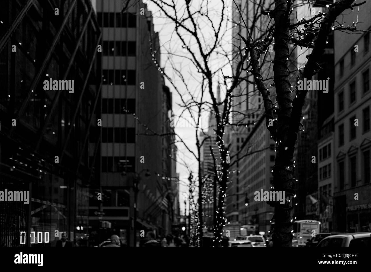 LITTLE BRAZIL, New York City, NY, USA, Christmas Lighting on the Trees at 5th Avenue Foto Stock