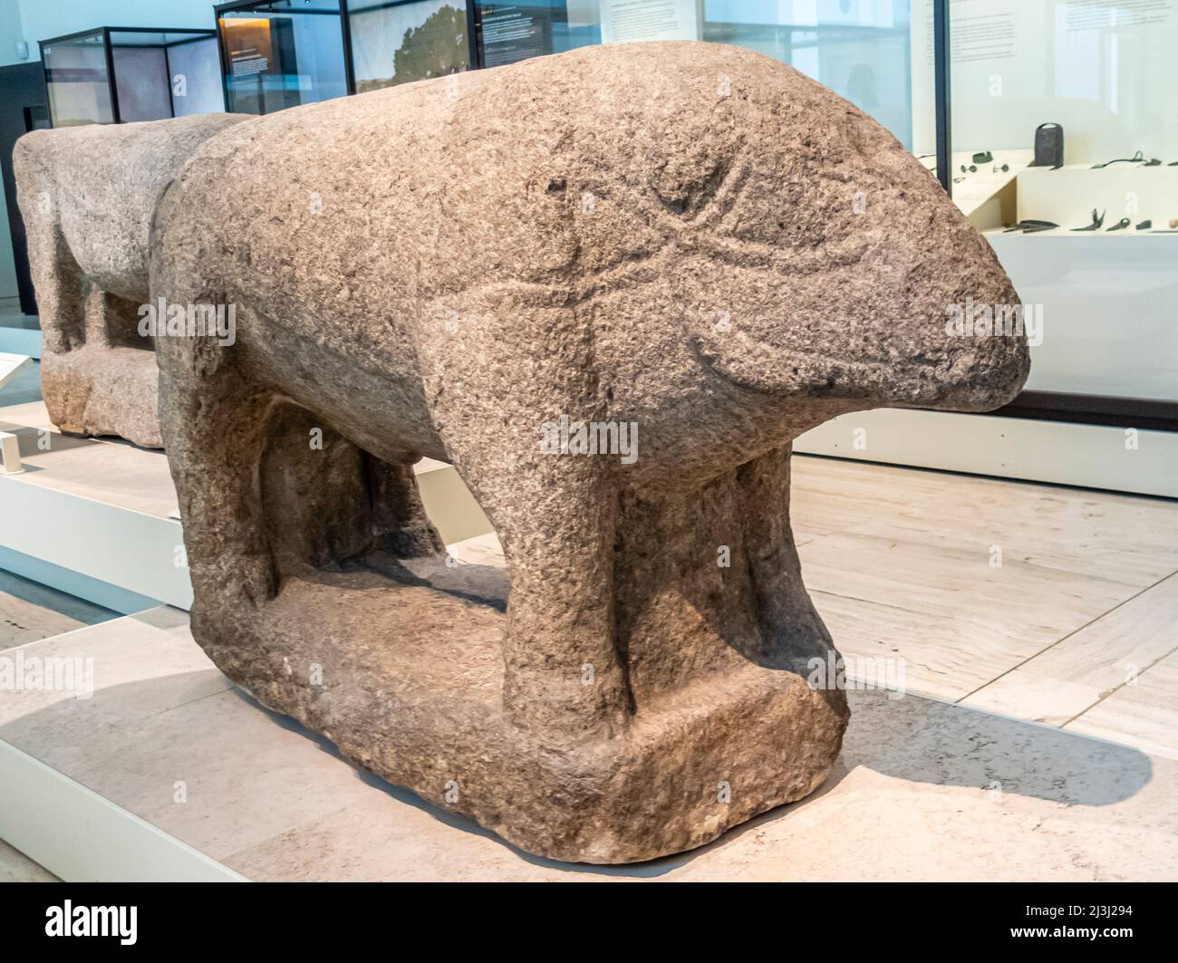 Verraco - scultura di maiale. 3rd - 1st a.C. Granito. Provincia di Avila, Spagna. Statue e opere d'arte vettoniane Foto Stock