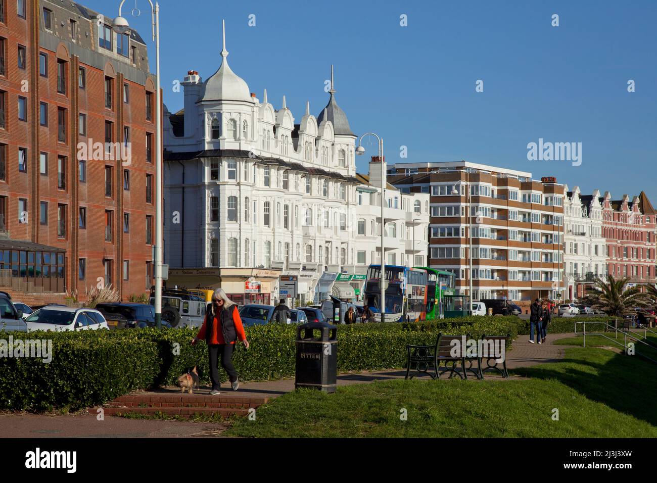 Bexhill-on-Sea, Sussex, lungomare con casa a schiera e appartamenti, donna cane da passeggio Foto Stock