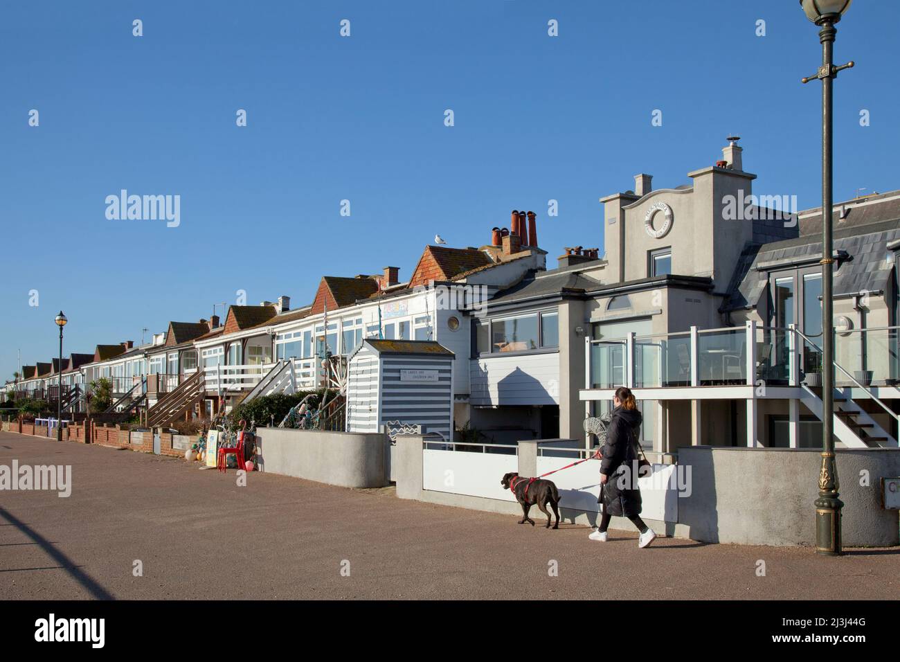 Bexhill-on-Sea, Sussex, donna che cammina cane lungo il canale Vista di fronte agli appartamenti vacanze sul lungomare Foto Stock