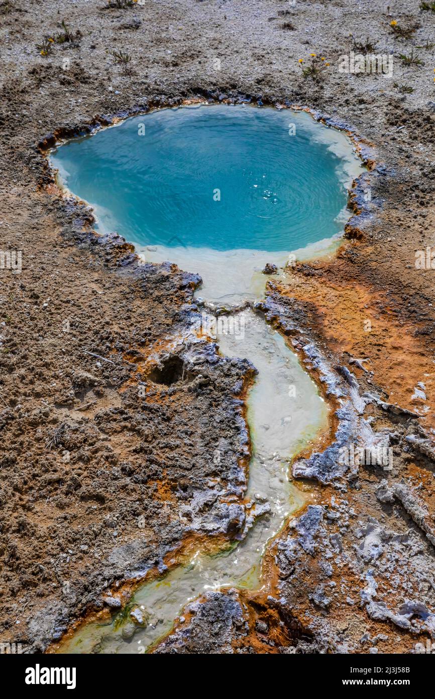 La piscina con acqua calda che si trova lungo il lago di Yellowstone nel parco nazionale di Yellowstone, USA Foto Stock