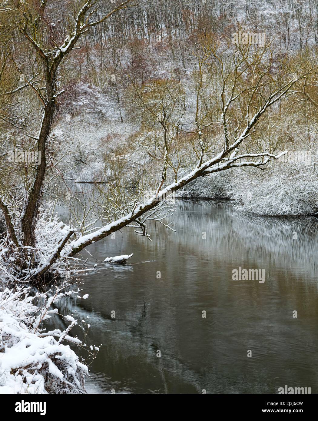 Europa, Germania, Assia, Marburger Land, atmosfera invernale sul giro del fiume Lahn vicino Lahntal-Kernbach Foto Stock