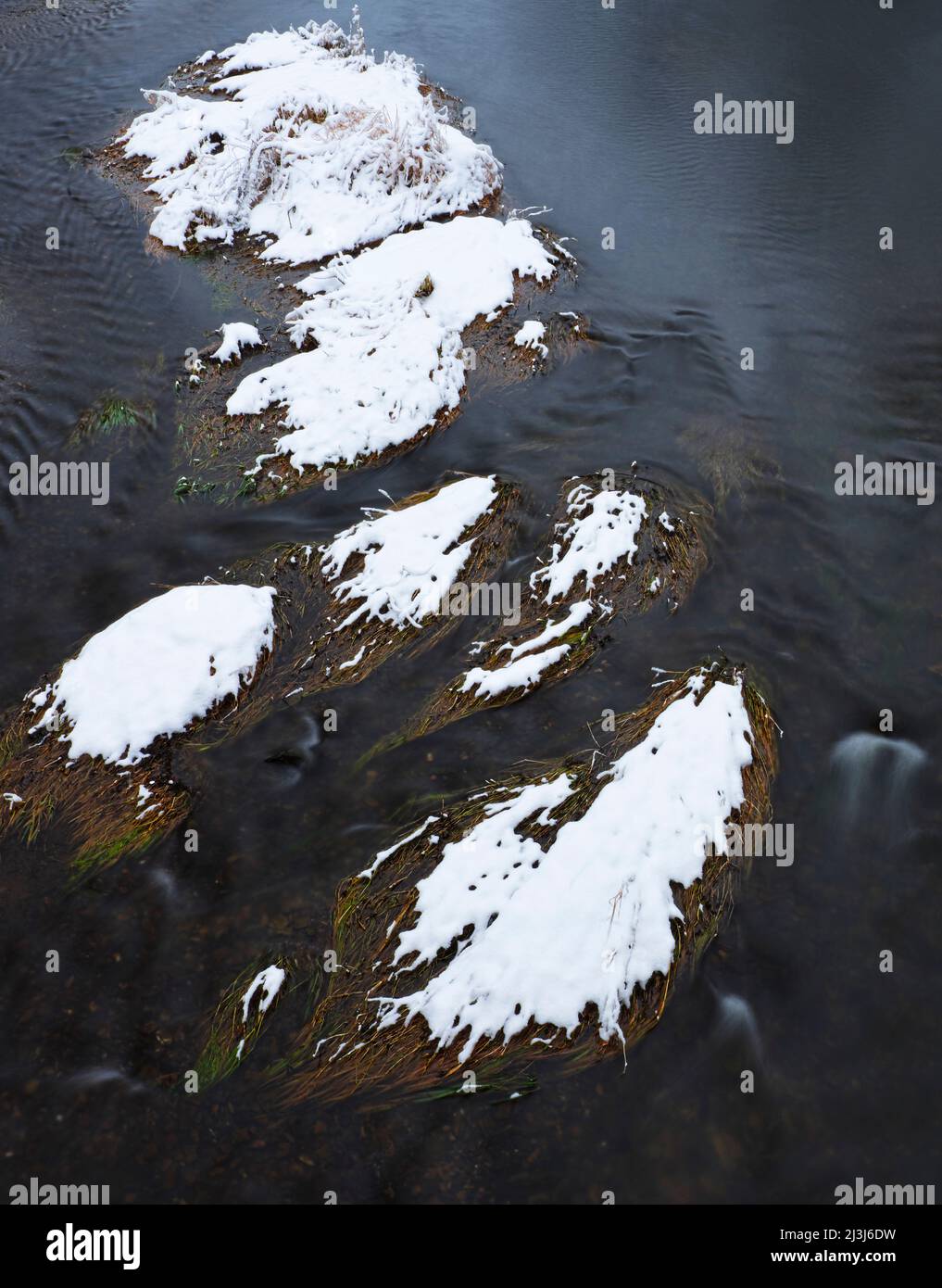 Europa, Germania, Assia, Marburger Land, isole di erba di paglia nel Lahn vicino Lahntal, neve Foto Stock