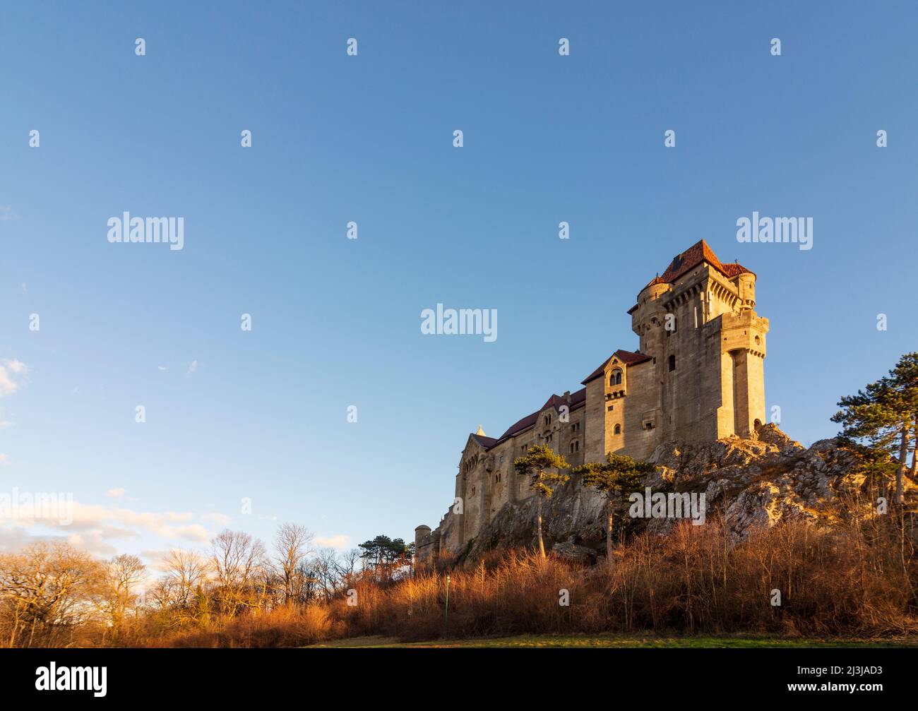 Maria Enzersdorf, Castello del Liechtenstein a Vienna Woods, bassa Austria, Austria Foto Stock