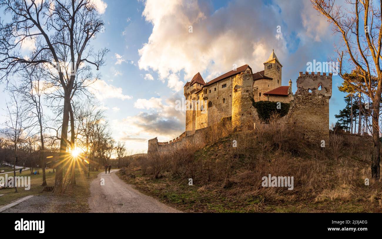 Maria Enzersdorf, Castello del Liechtenstein a Vienna Woods, bassa Austria, Austria Foto Stock