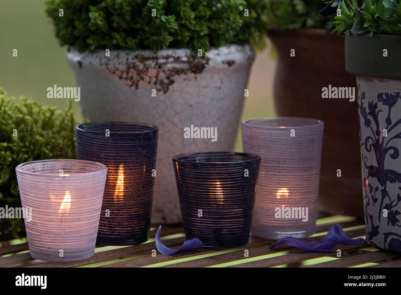 Vita morta, candele bruciate in lanterne tra vasi di fiori, decorazione atmosferica in toni violetti e blu Foto Stock