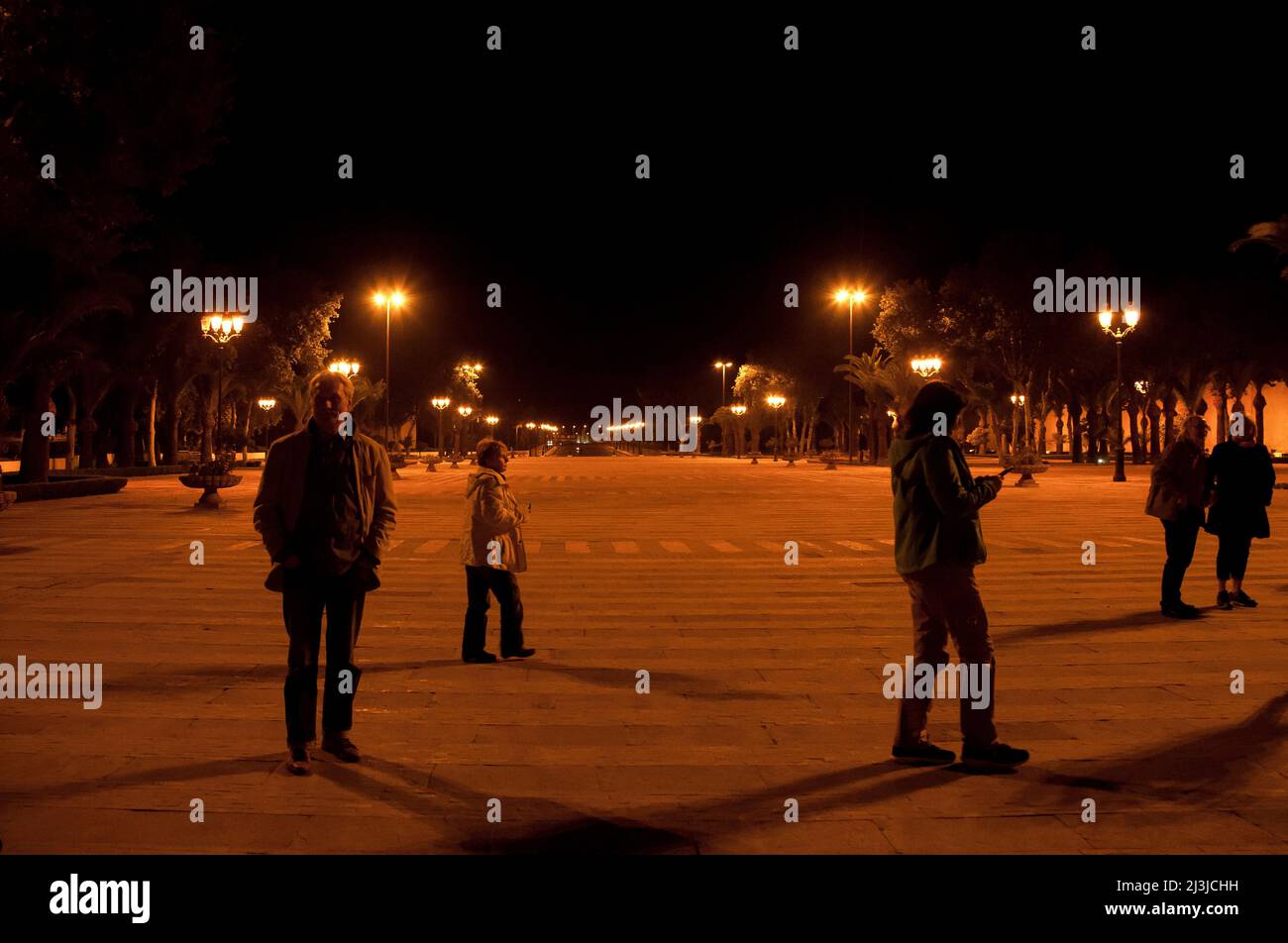 Place des Alaouites, palme, città, Fez, Maghreb, Marocco, Africa Foto Stock