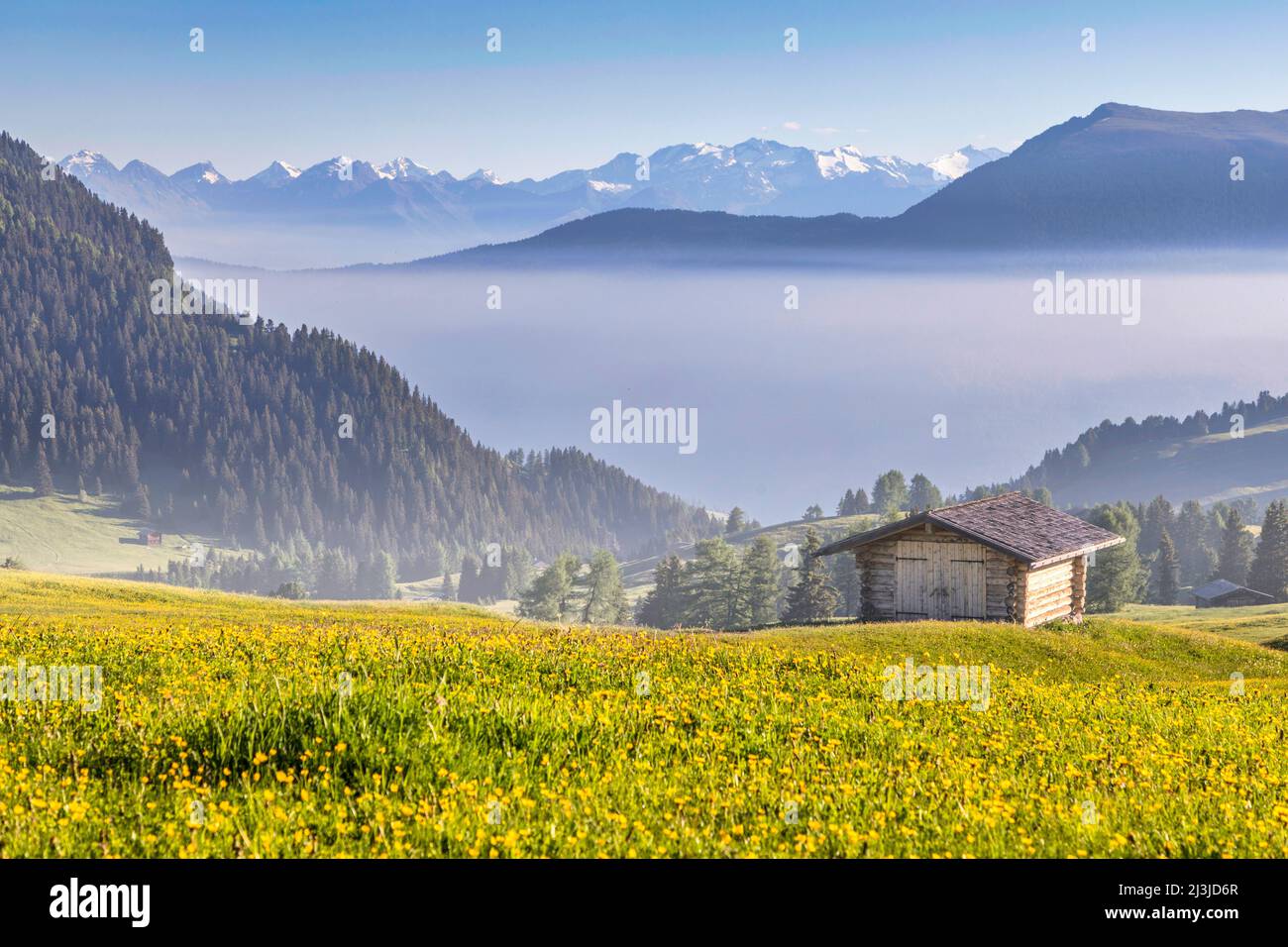 Italia, Alto Adige / Südtirol, Castelrotto / Kastelruth, Alpe di Siusi / alpe di Siusi - capanna in legno e prati verdi con fossi in fondo alla valle Foto Stock