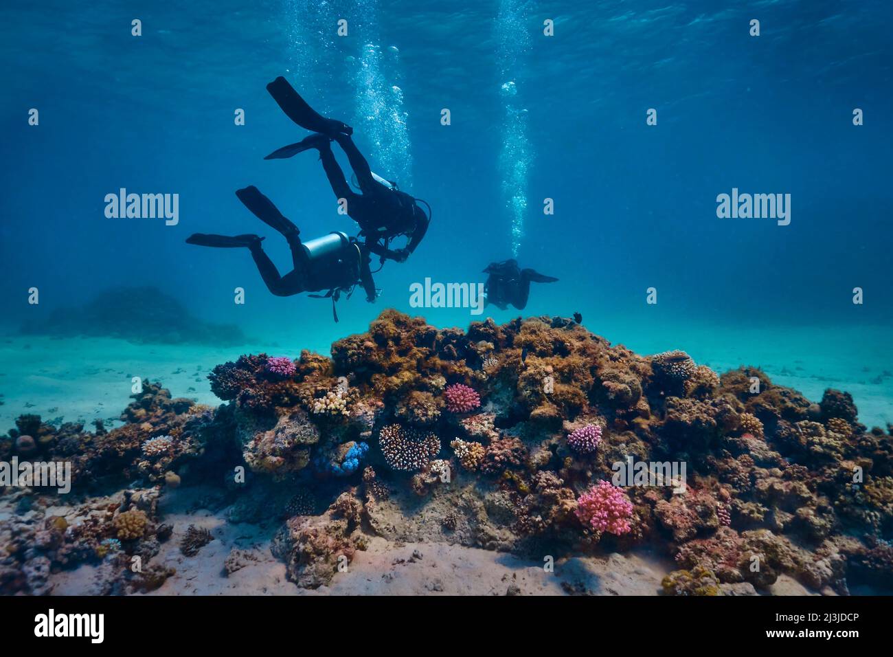 Immersioni subacquee a Coral Reef, Makadi Bay, Hurghada, Egitto, Mar Rosso, Gruppo di subacquei Foto Stock