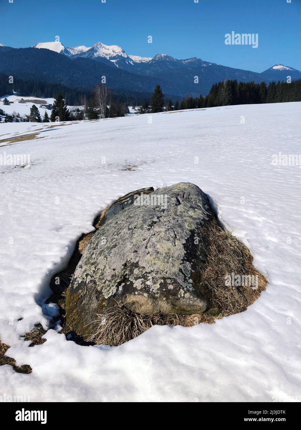 Masso irregolare dell'ultimo periodo freddo sul Buckelwiesen vicino Würm Krün, alta Baviera Foto Stock