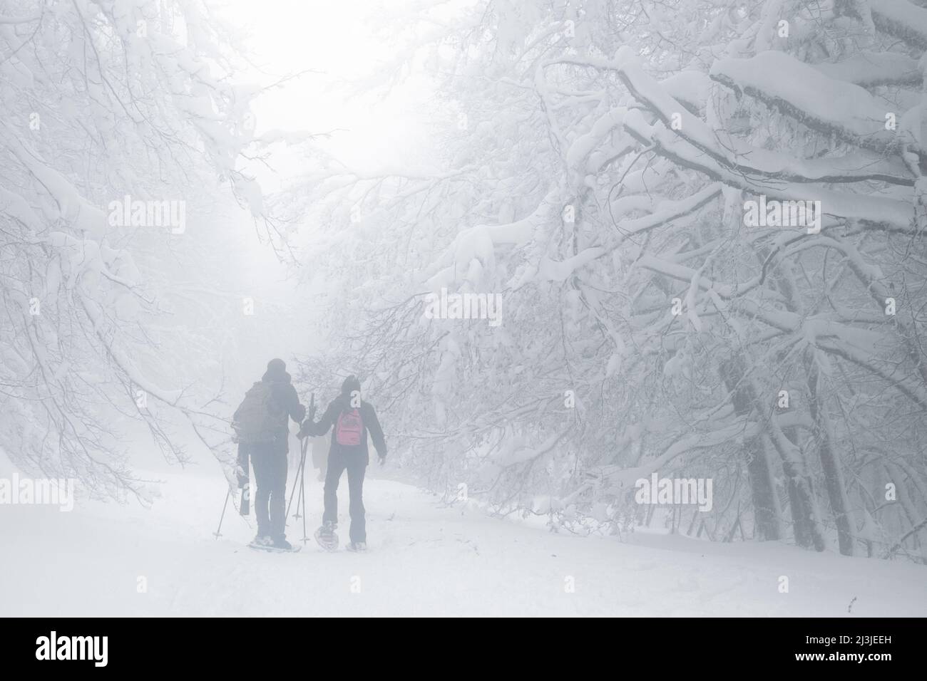 Due escursionisti che camminano su sentieri innevati in una giornata nebbiosa nel Parco dei Nebrodi, in Sicilia Foto Stock