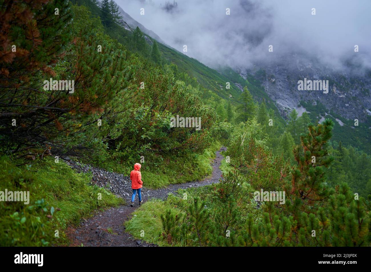 Ragazza sola durante l'escursione, Obervischgau, Italia Foto Stock