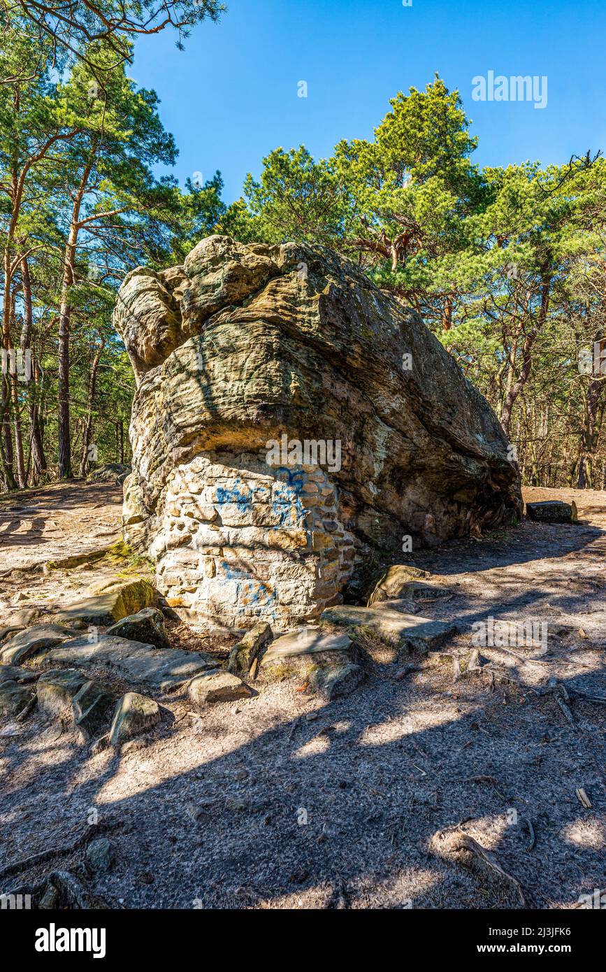 Germania, Renania-Palatinato, Teufelsfelsen vicino a Bad Dürkheim, un luogo cultico per i riti religiosi già per i Celti, roccia, monolito Foto Stock