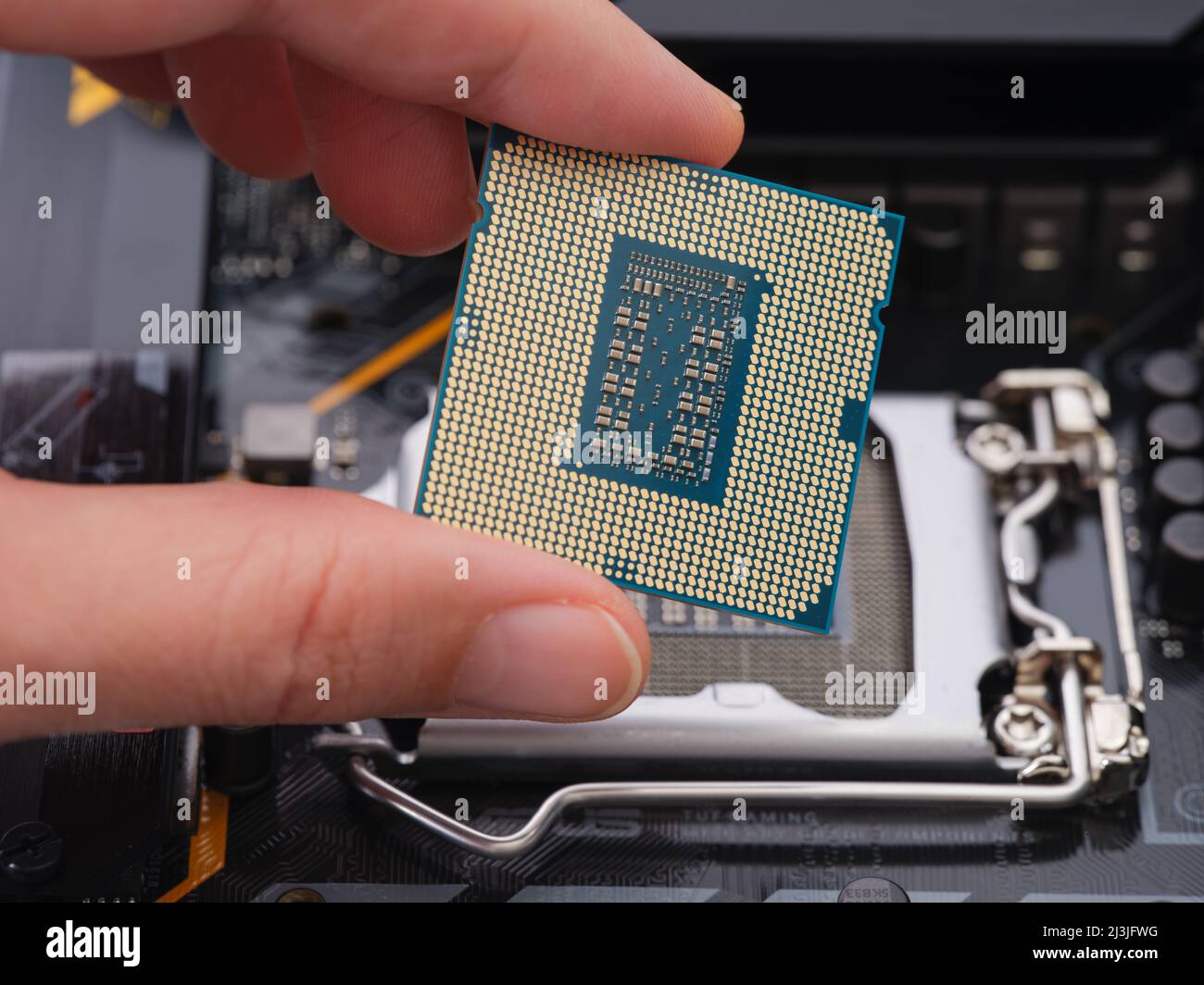 Tambov, Federazione russa - 07 aprile 2022 Una donna con un processore Intel Core i5 di 11th generazione in mano su un socket LGA 1200 su una madre Foto Stock