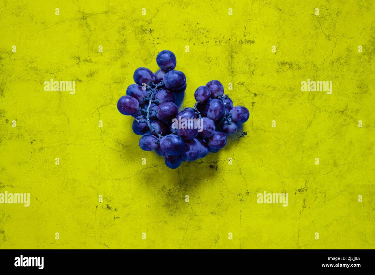 Composizione di limoni, arance e fiori di Still Life su sfondo di pietra scura Foto Stock