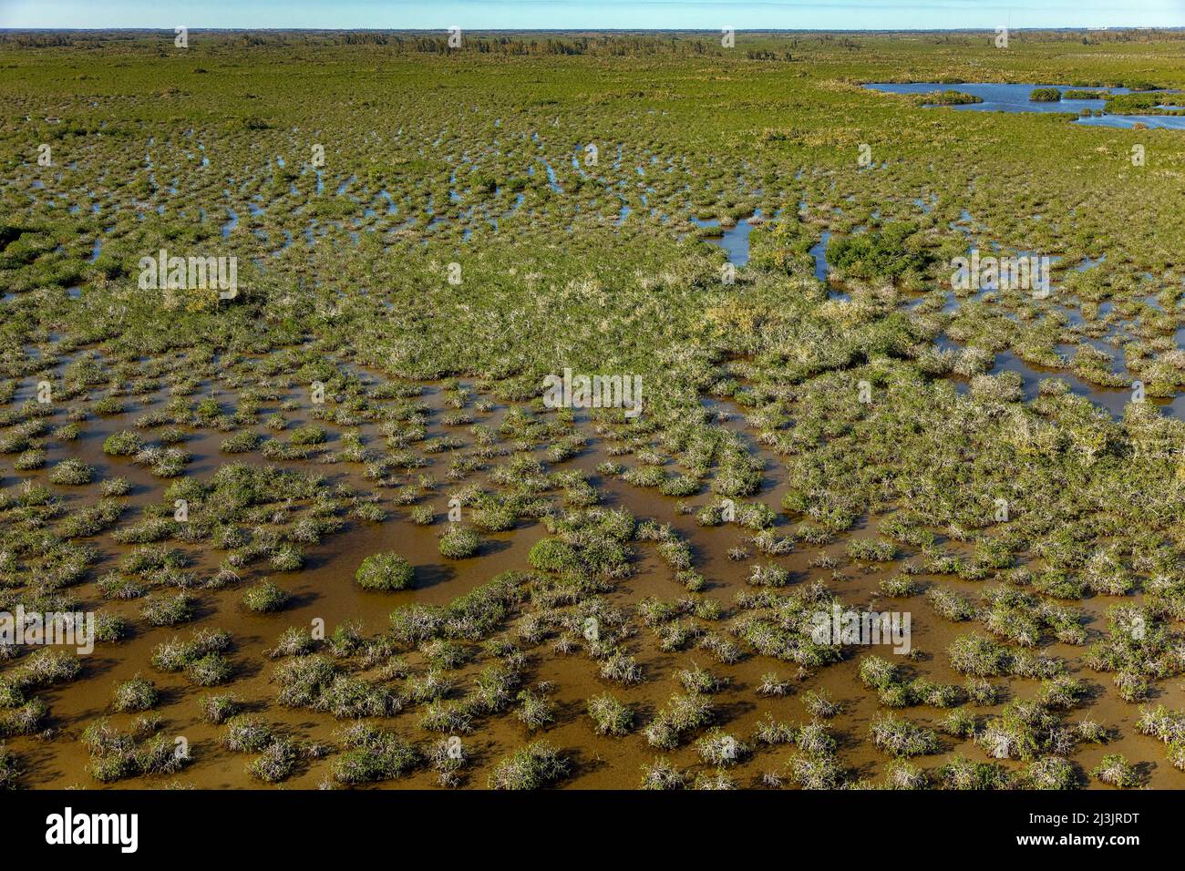 L'Everglades National Park è un parco nazionale situato nello stato della Florida degli Stati Uniti. La più grande natura subtropicale degli Stati Uniti, contiene il sou Foto Stock