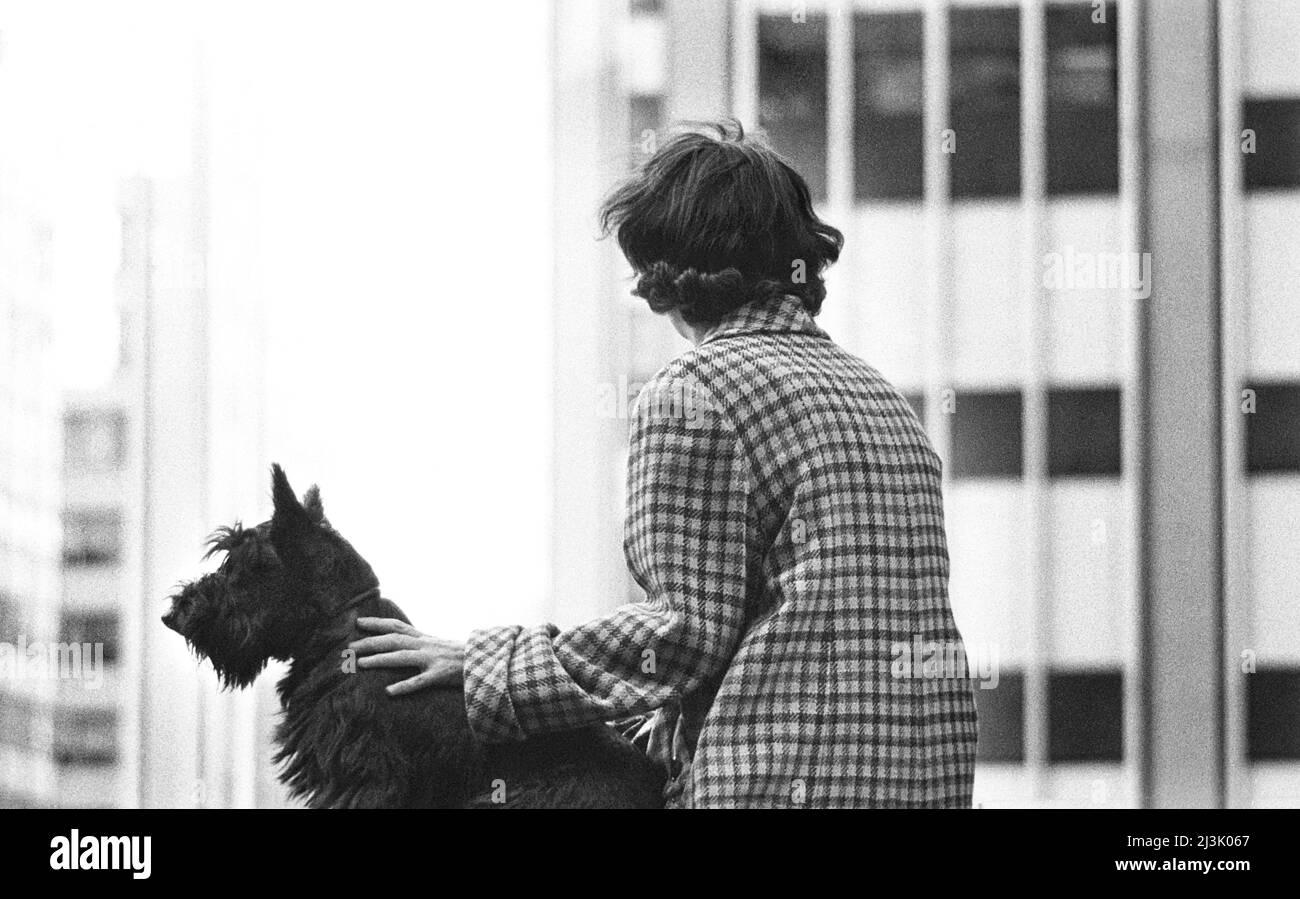 Vista posteriore della donna seduta con Scottish Terrier, New York City, New York, USA, Angelo Rizzuto, Anthony Angel Collection, settembre 1961 Foto Stock