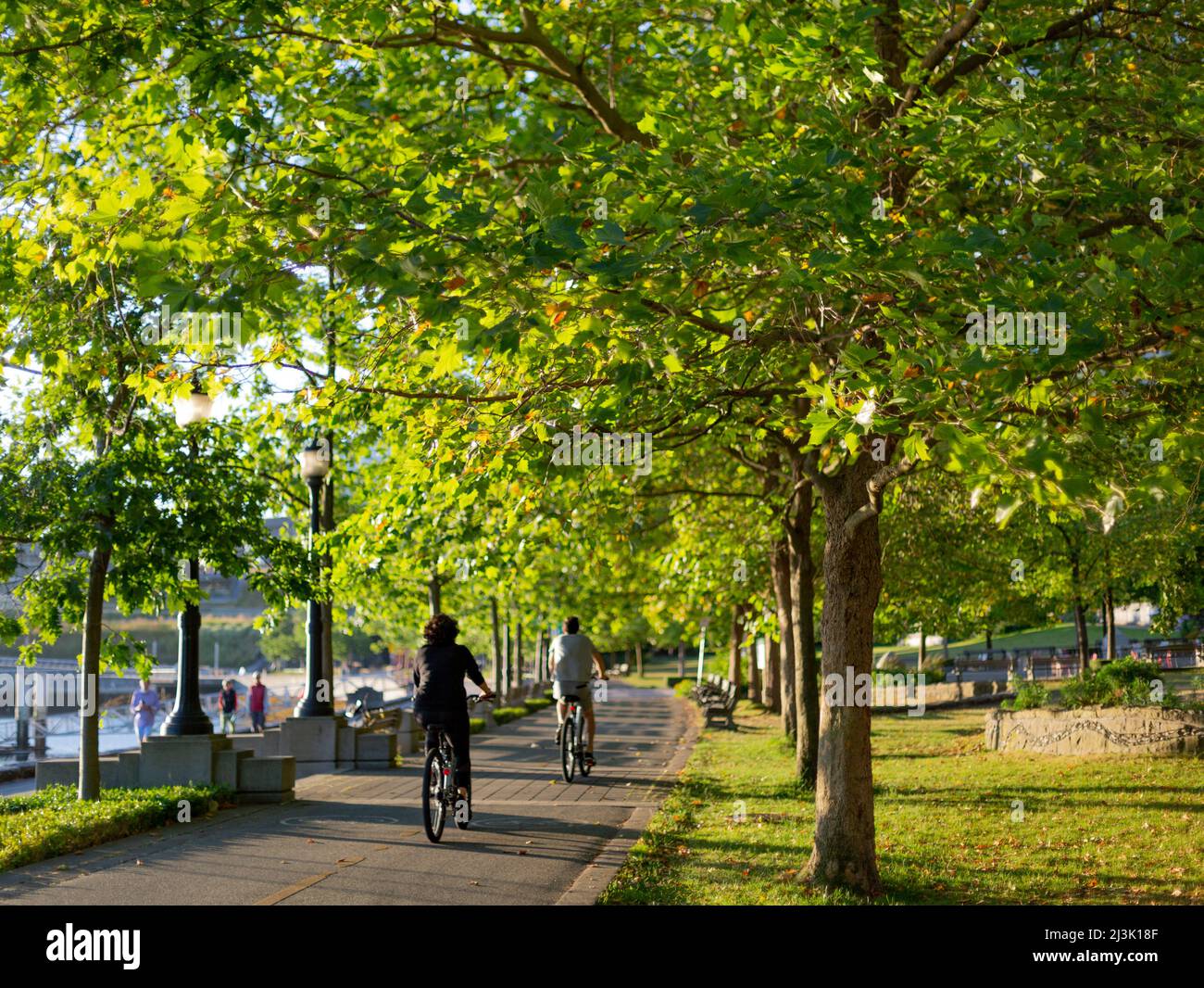 I ciclisti possono godersi il sentiero soleggiato lungo il lungomare di Vancouver, Vancouver, British Columbia, Canada Foto Stock