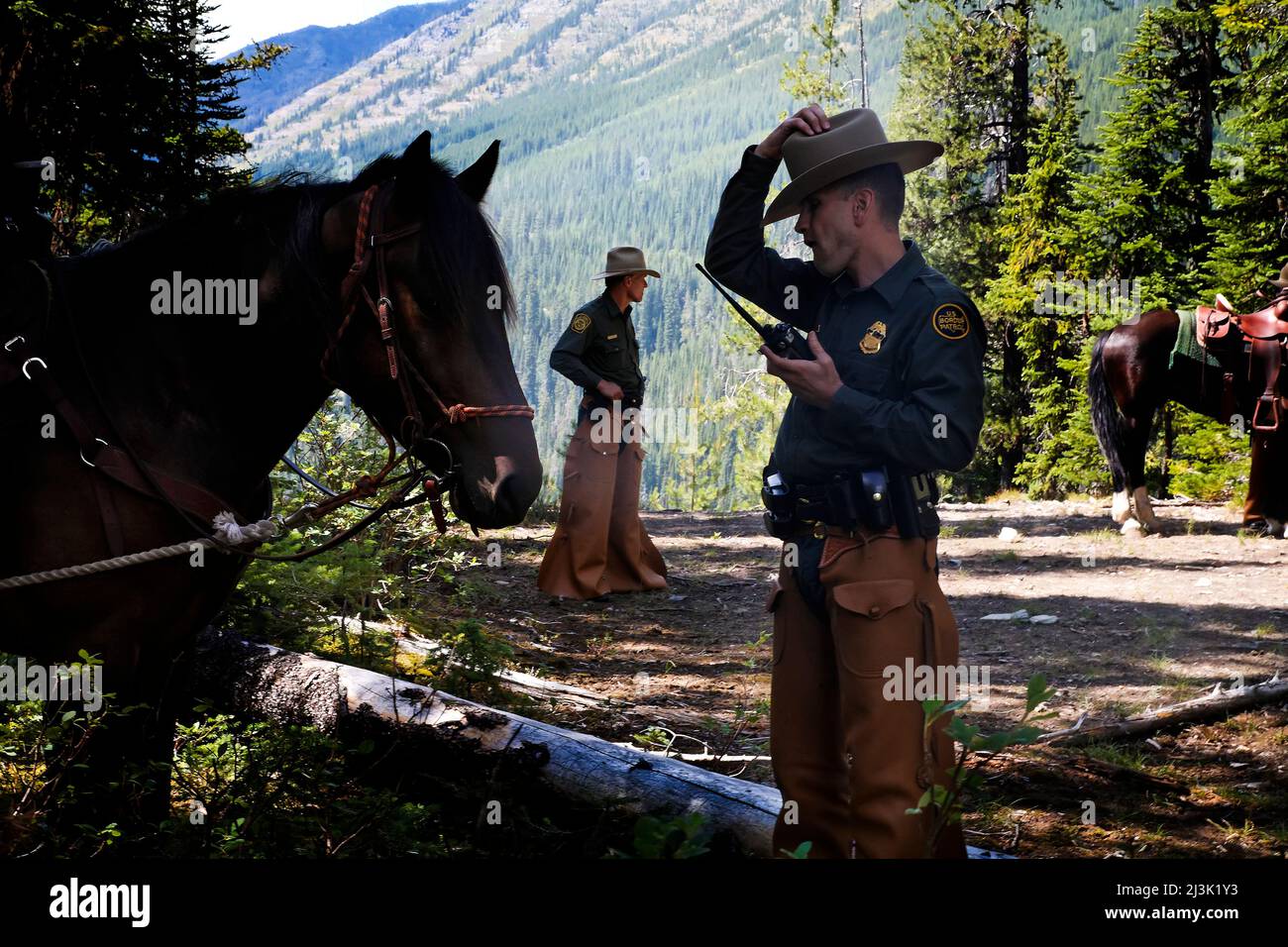 Gli agenti di pattuglia di confine usano mustang per viaggiare nel selvaggio entroterra; Whitefish, Montana, Stati Uniti d'America Foto Stock