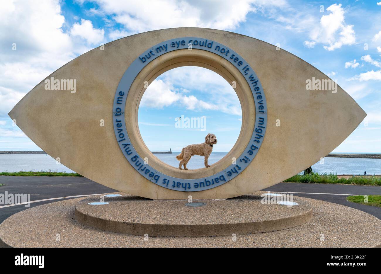 Il cane si erge nella scultura 'The Eye' alla Littlehaven Promenade; South Shields, Tyne and Wear, Inghilterra Foto Stock