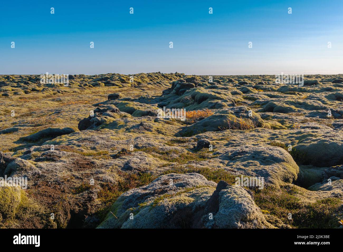 Laut den isländischen Legenden leben die verborgenen Menschen in diesen Steinen, den Elfen, Trollen und Feen Foto Stock
