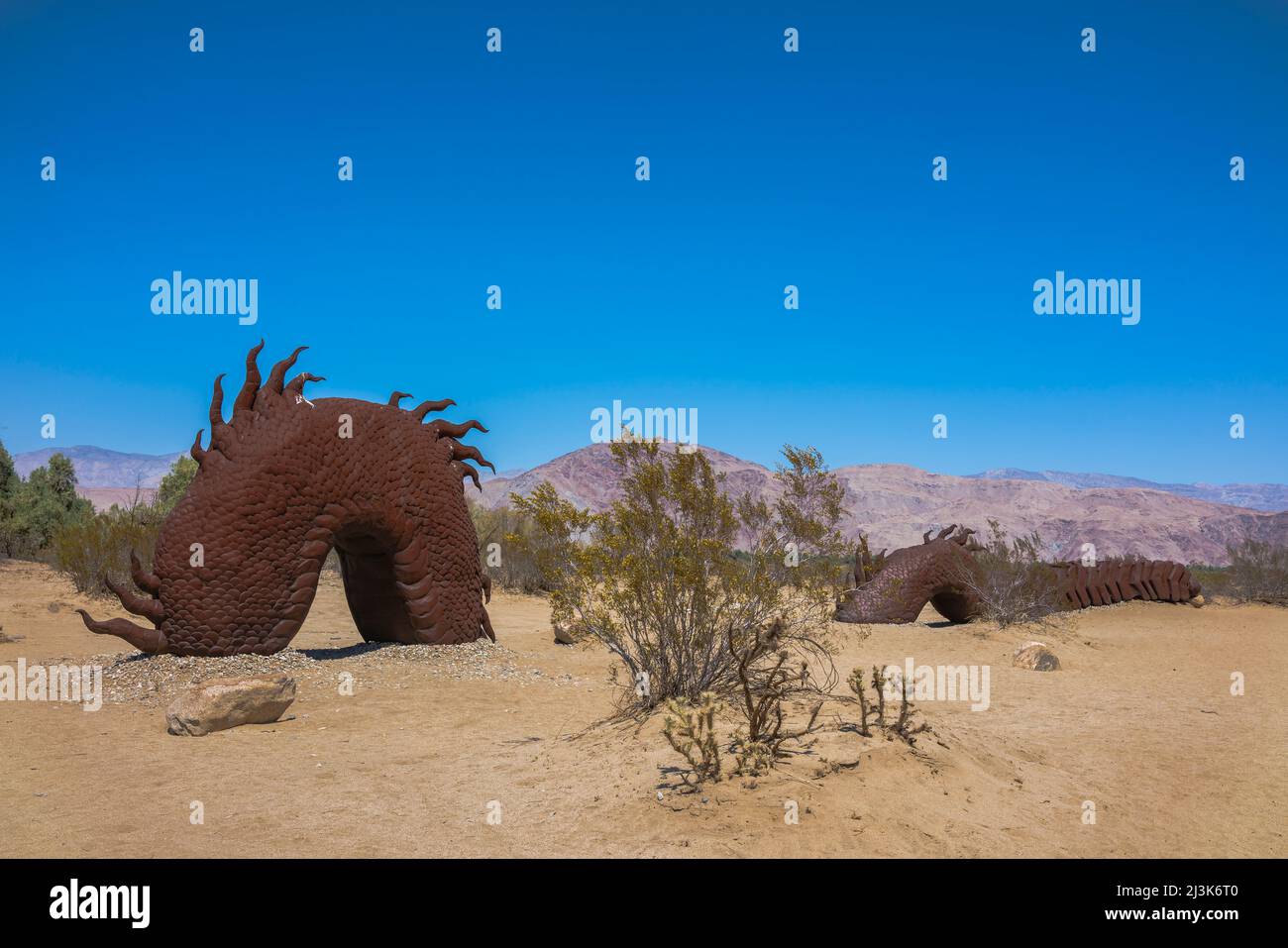 Il serpente di Borrego Springs è la scultura più grande della vita di Ricard Breceda nei prati della Galleta nella città di Borrego Springs, California. Foto Stock