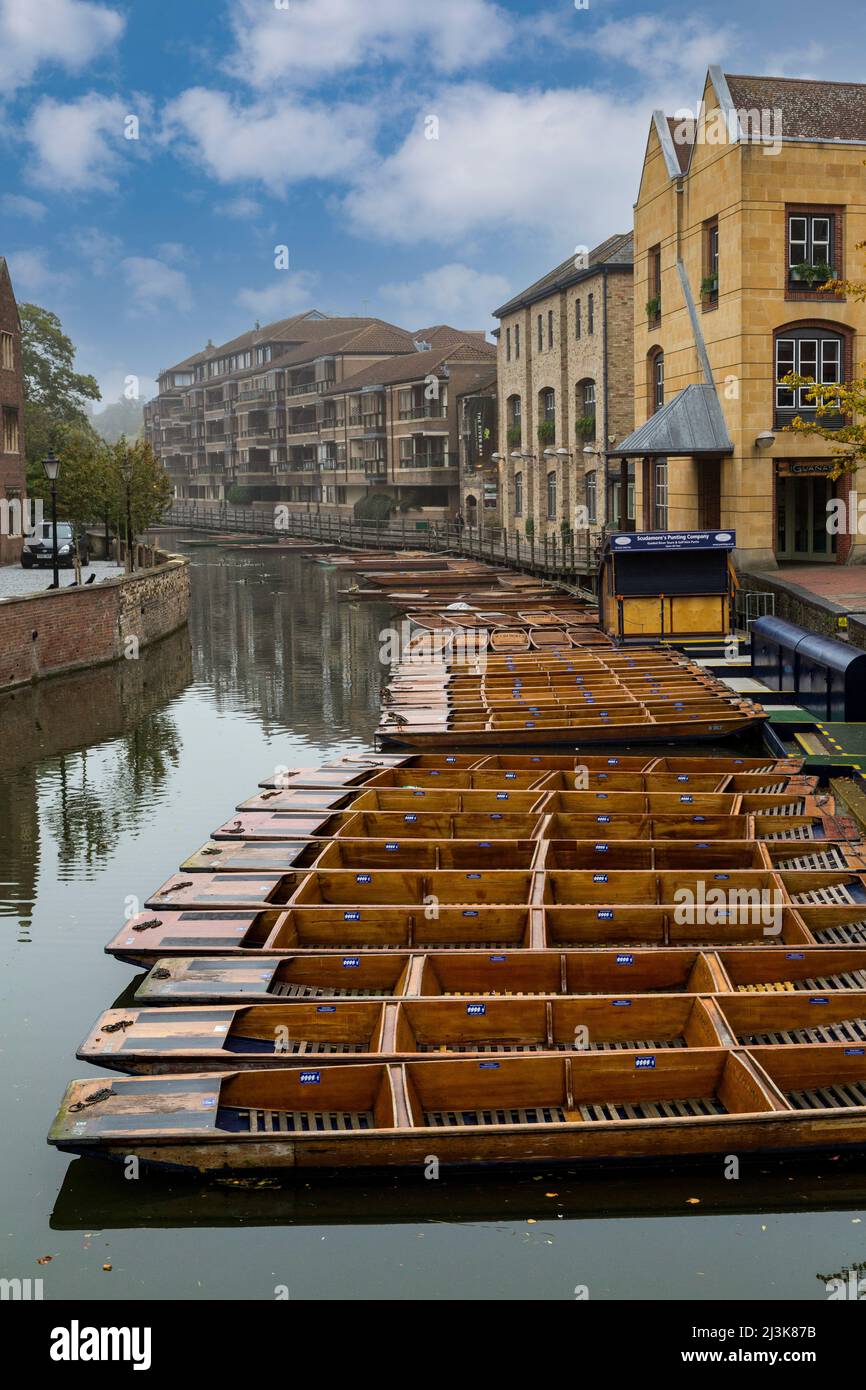 Regno Unito Inghilterra Cambridge. Sterline sul fiume Cam, la mattina presto. Foto Stock