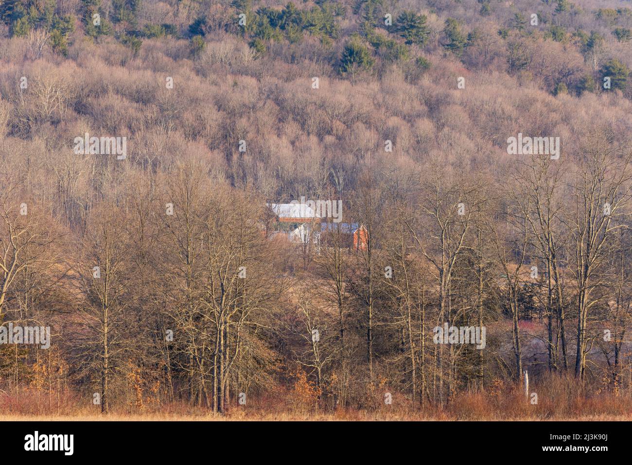 Appartata grande casa con fienile indipendente su grande terreno collinare Foto Stock
