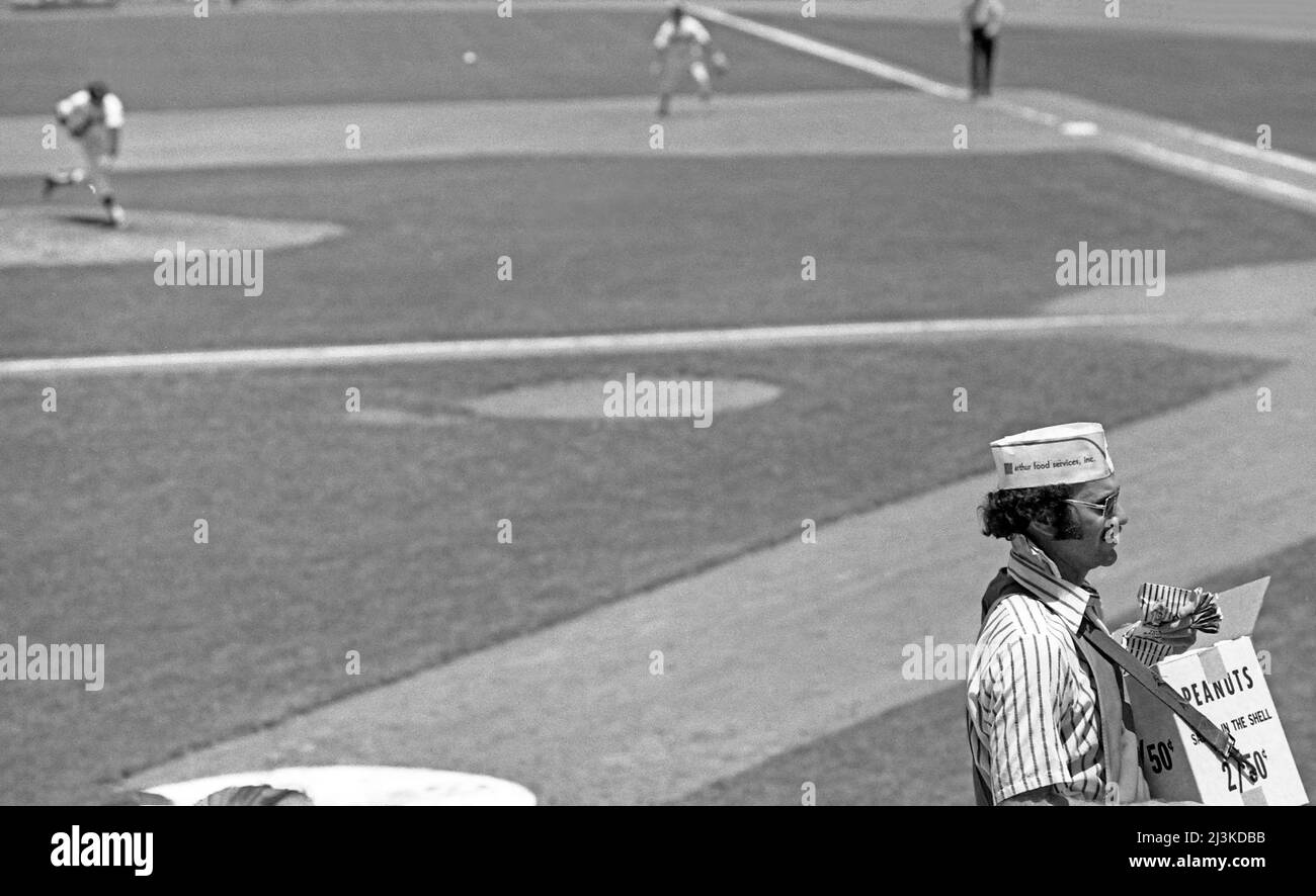 Fornitore di arachidi che lavora le navate del Dodger Stadium mentre il lanciatore rilascia un campo in una partita di giorno nel 1978. Foto Stock Fornitore di arachidi che lavora le navate del Dodger Stadium mentre il lanciatore rilascia un campo in una partita di giorno nel 1978. Foto Stock