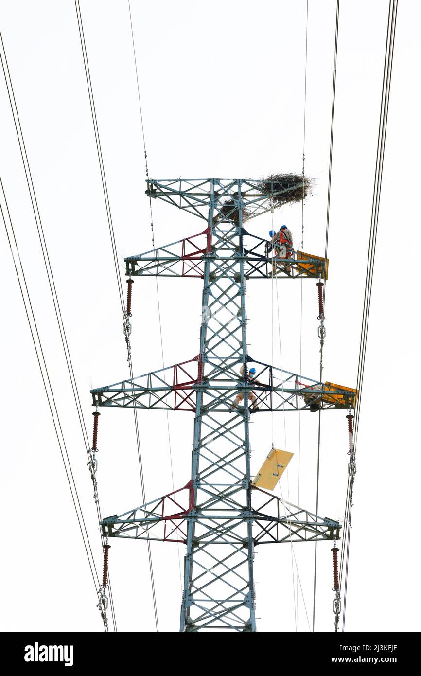 SUQIAN, CINA - 8 APRILE 2022 - Un lavoratore di alimentazione installa uno scudo per uccelli su una torre di trasmissione per impedire ai nidi di uccelli di cadere rami. In S. Foto Stock