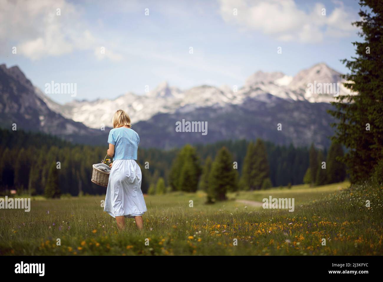 Scatto posteriore della giovane donna bionda che cammina in erba con cestino da picnic. All'aperto, casual, vacanza, natura concetto. Foto Stock