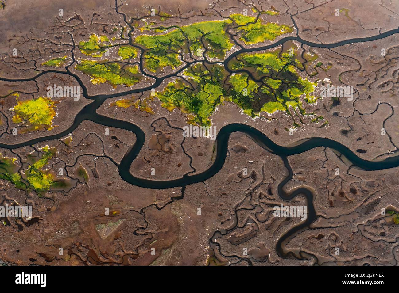 Vista aerea di fiumi e paludi serpenti sulla costa della California; Carpinteria, California, Stati Uniti d'America Foto Stock