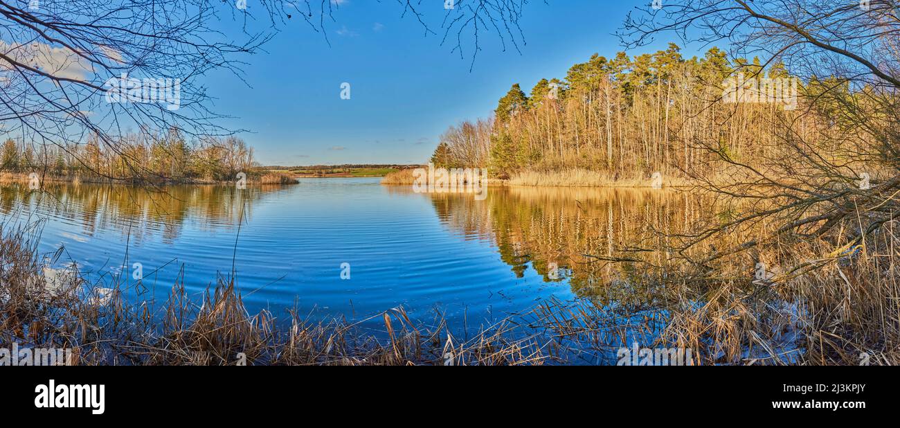 Lago Rothsee in una tranquilla giornata di sole; Frankonia, Baviera, Germania Foto Stock