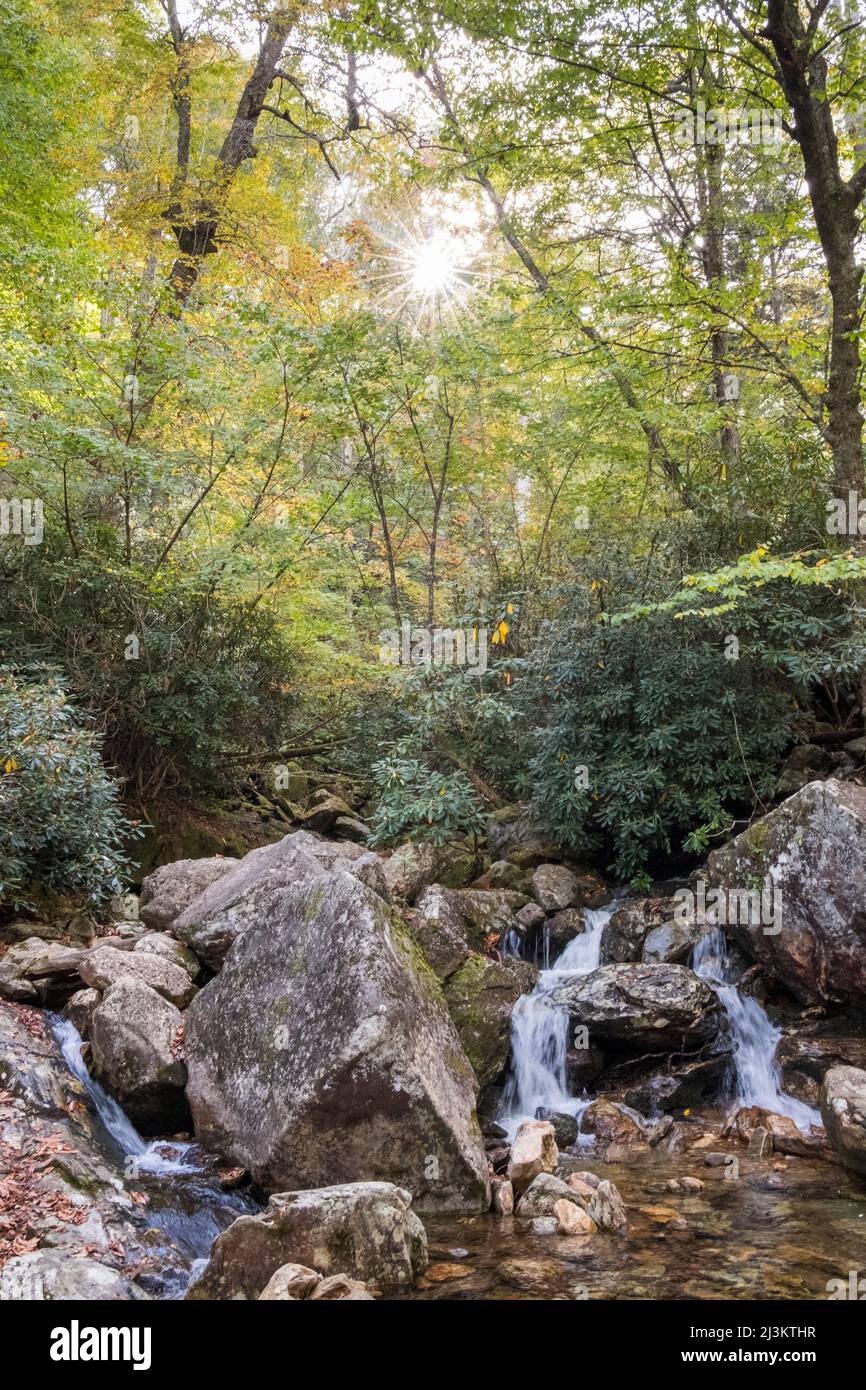 Il sole scoppia attraverso gli alberi a Skinny DIP Falls vicino Looking Glass Overlook in North Carolina, USA; North Carolina, Stati Uniti d'America Foto Stock