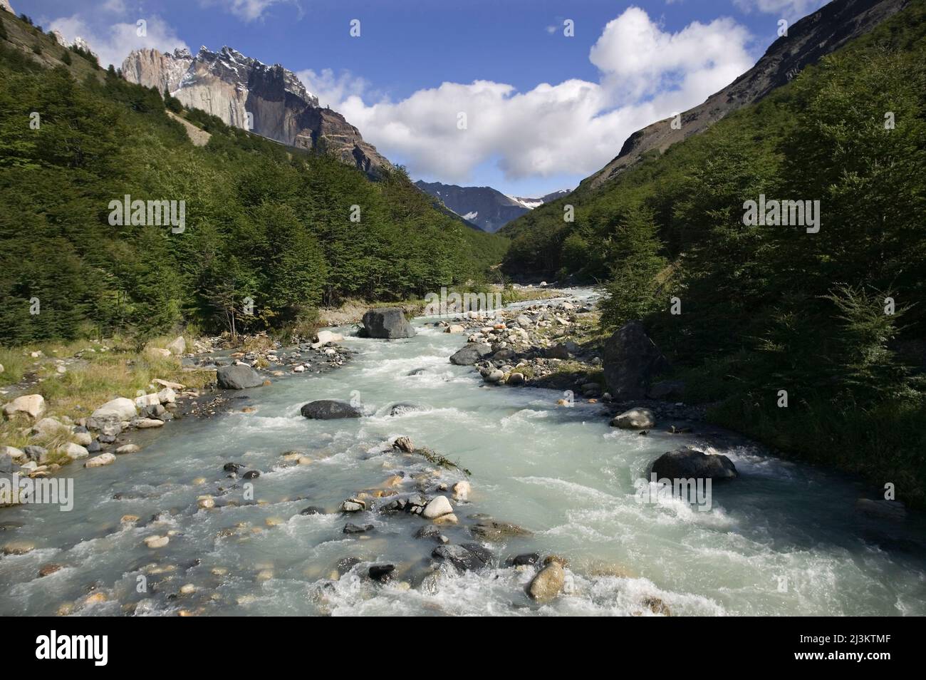 Il Rio Ascencio che scorre attraverso la Valle dell'Ascencio, Parco Nazionale Torres del Paine in Cile; Patagonia, Cile Foto Stock