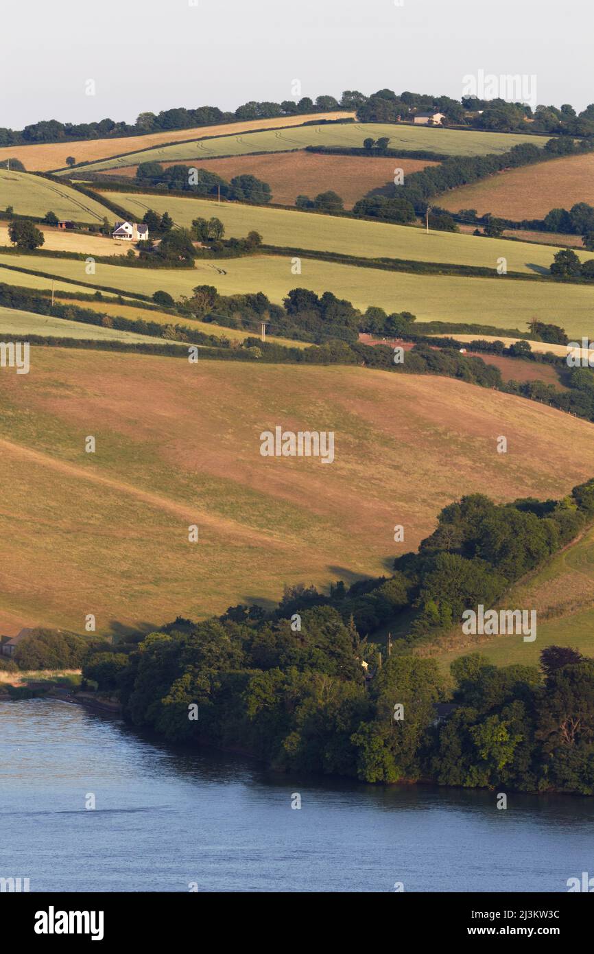 Campagna lungo la riva sud dell'estuario del fiume Teign, nei pressi di Teignmouth, Devon, Gran Bretagna; Devon, Inghilterra Foto Stock