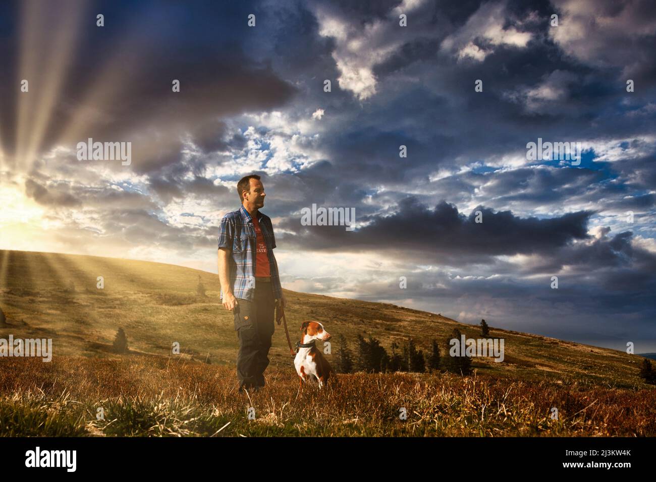 Escursionisti con un cane alla luce del sole sul Feldberg nella Foresta Nera Foto Stock