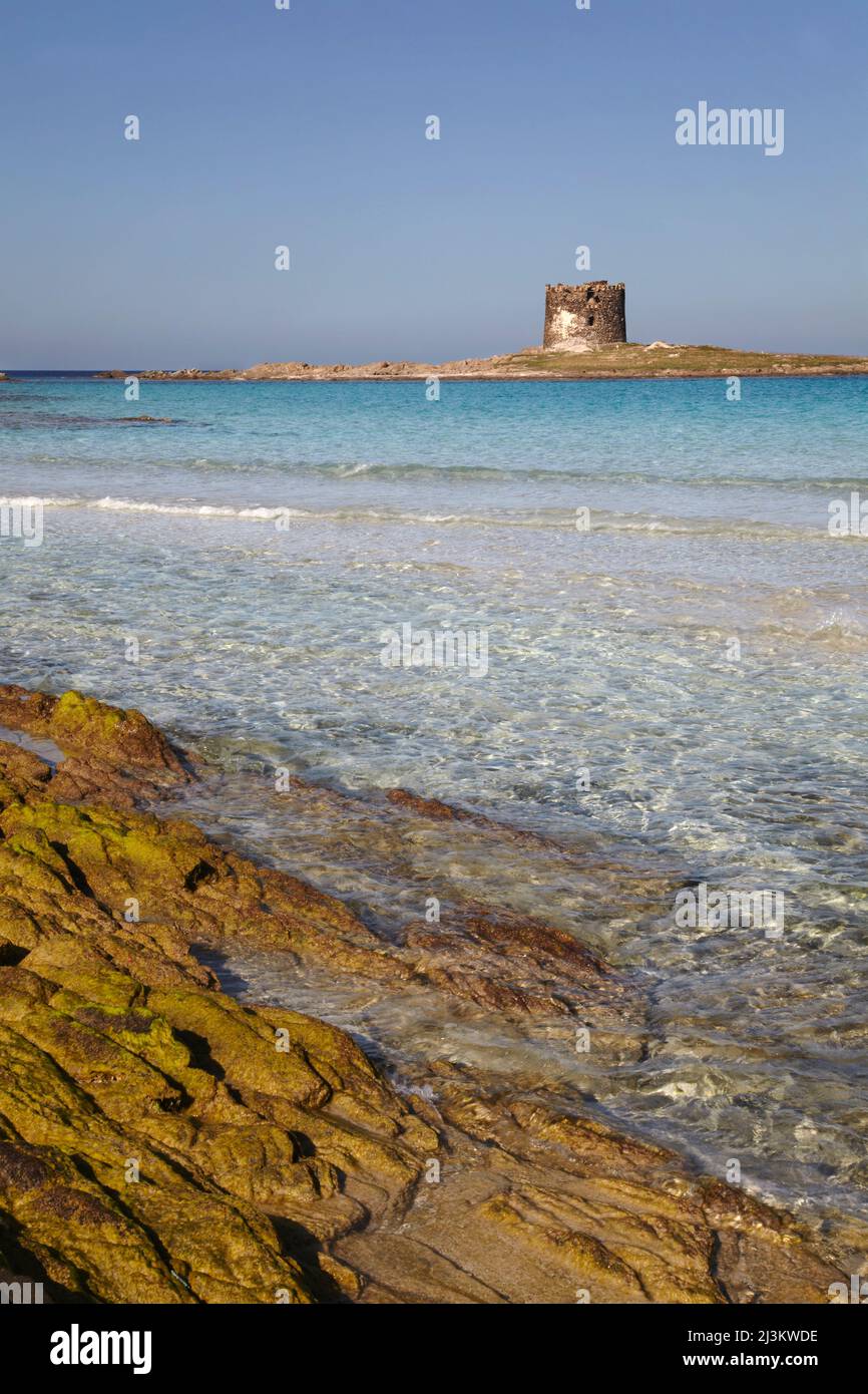 Una vista sulla spiaggia di Pelosa, sulla punta settentrionale della Sardegna, Italia; Spiaggia di Pelosa, Stintino, Sardegna, Italia. Foto Stock