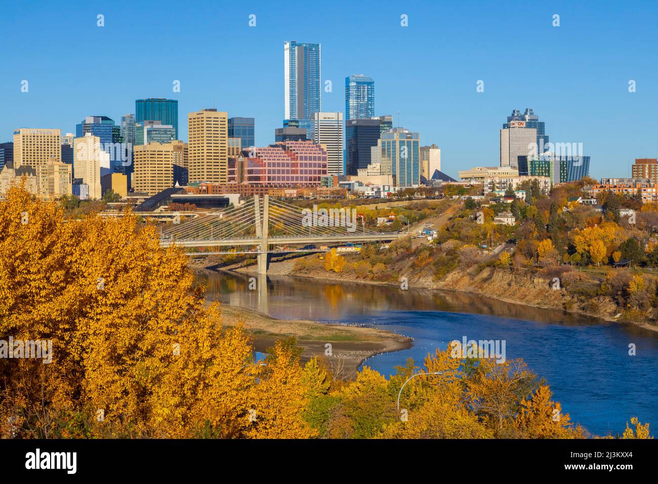 Skyline del centro di Edmonton con il Nord Saskatchewan fiume e colori autunnali, e l'Edmonton Valley Light Rail Tahatina Bridge attraversando ... Foto Stock