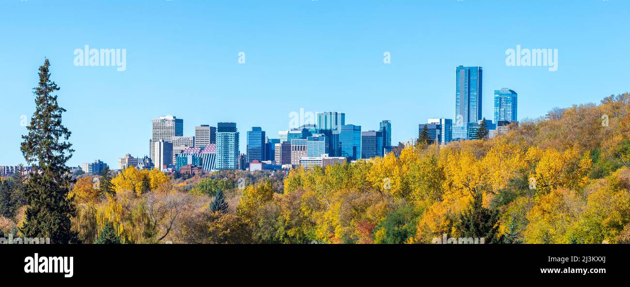 Skyline del centro di Edmonton e colori autunnali; Edmonton, Alberta, Canada Foto Stock