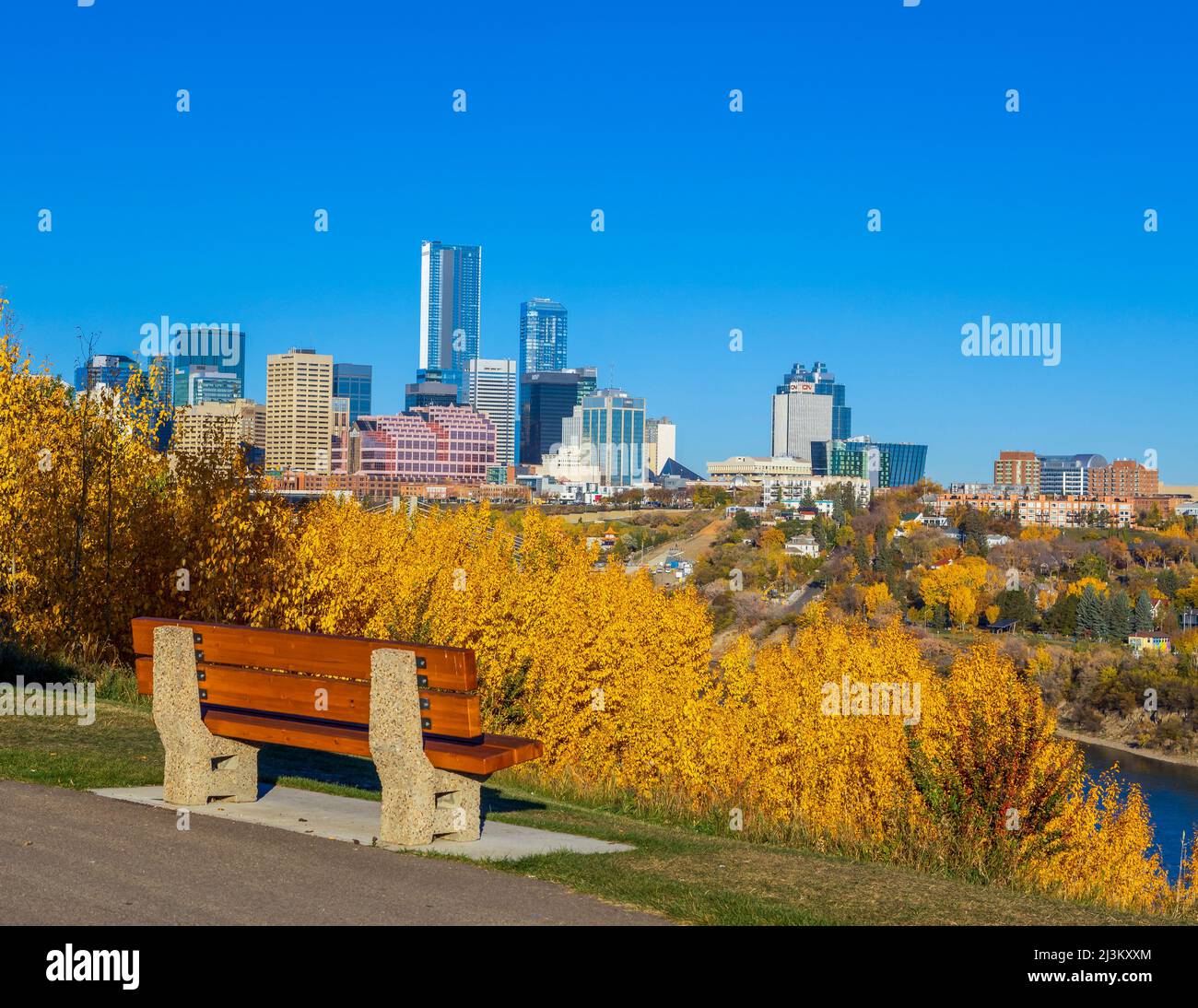 Panchina con vista dello skyline del centro di Edmonton e colori autunnali della valle del fiume lungo il fiume Saskatchewan Nord Foto Stock